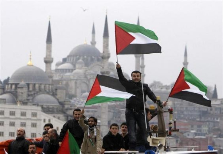 Pro-Palestinian activists wave Palestinian flags during the welcoming ceremony for cruise liner Mavi Marmara at the Sarayburnu port of Istanbul December 26, 2010. Nine Turkish activists died in May when Israeli commandos raided the boat, which was part of