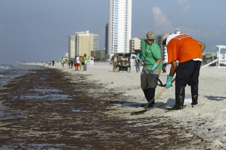 Workers shovel oil from the BP oil spill which made landfall in Gulf Shores, Alabama June 12, 2010