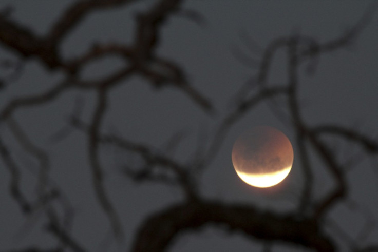 Lunar Eclipse on June 15: the most beautiful and historical blood moon stars worldwide [PHOTOS]