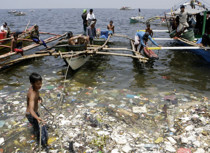Mass extinction by 2050: Ocean and marine life in danger (Photos) Mass extinction by 2050: Ocean and marine life in danger (Photos)