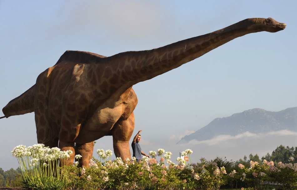 Dinosaur Fossils Show Omnivorous Appetite
