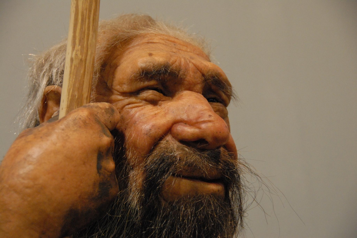 Spanish Skulls Discovered with Neanderthal and Primitive Human Traits