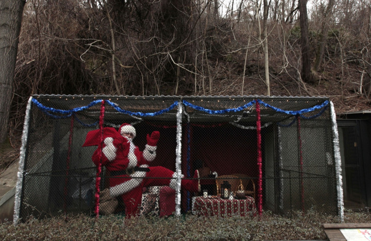 A man dressed as Santa Claus poses in a cage during a performance at Prague Zoo. The traditional belief in the Czech Republic is that the Baby Jesus, Jezisek, brought children gifts. The zoo held a performance to deride the increasingly popular "American