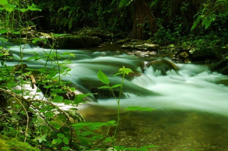 St Nectan's Glen, Cornwall