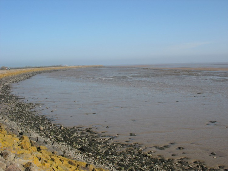 Goldcliff, near Newport, South Wales