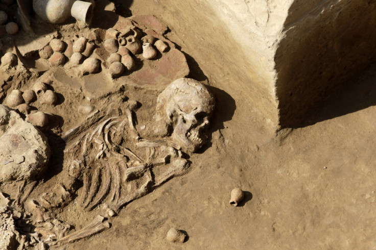 Pictured is the tomb of a priestess of the Moche culture recently excavated in Peru. Bronze Age graves unearthed in Siberia have couples buried holding hands.