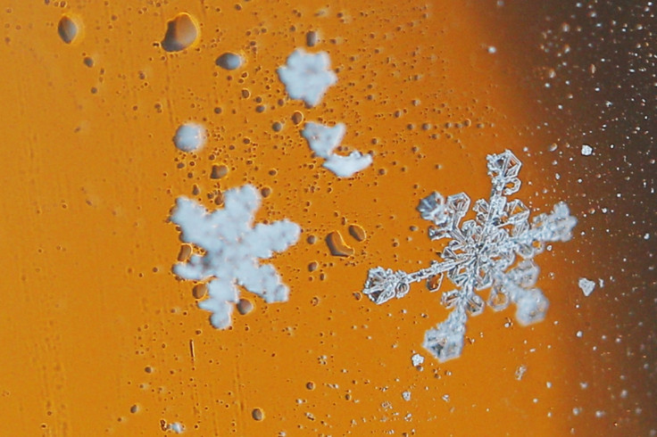 Snowflakes collect on a car window.