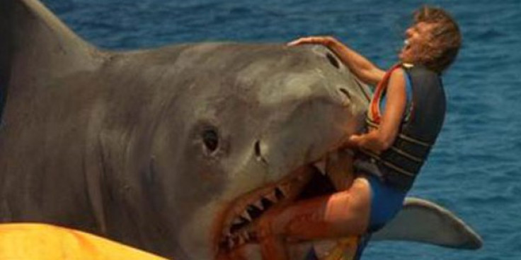 Jaws 2