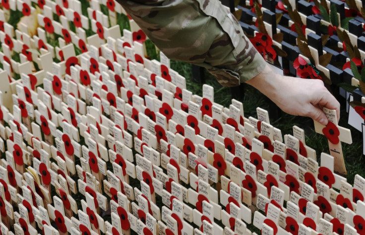 Remembrance Day poppies