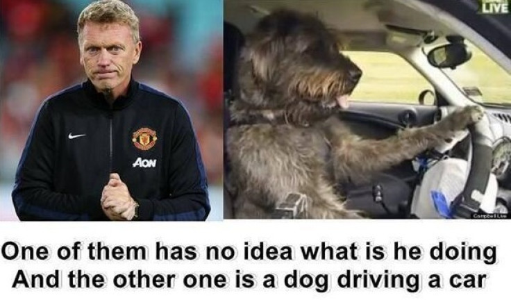 Dog driver moyes