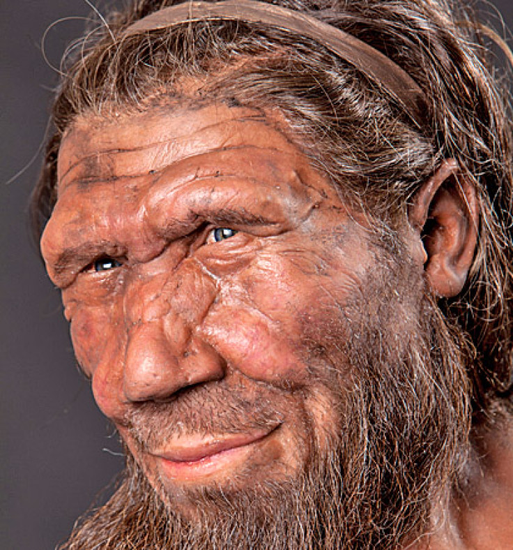 Neanderthals, an early species of man, were skilled toolmakers who roamed the planet over 500,000 years ago.