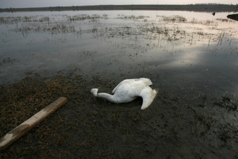Fuhe Wetlands China