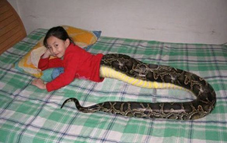 Thailand Snake Girl Post is a Fake