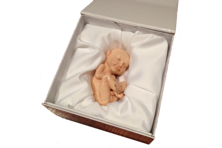3D Printed Foetus