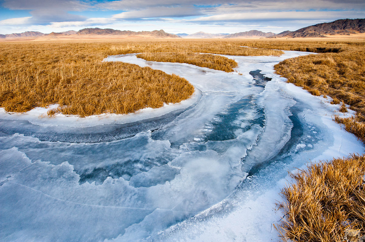 icy veins