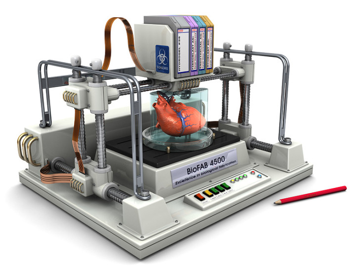 3D Printer that can bioprint human organs