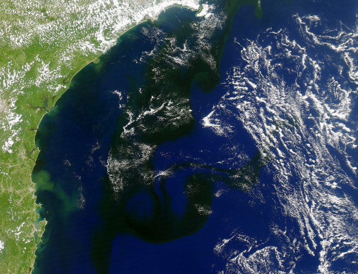 A NASA image shows the slick stretching along the Brazilian coast.