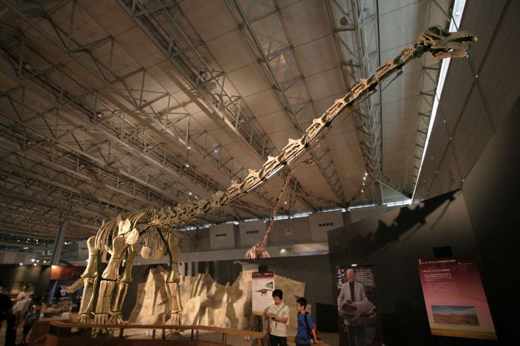 Titanosaur