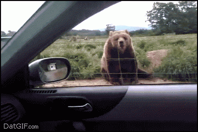 datgif.com datgif.com