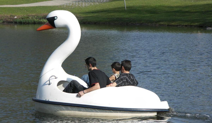 Swan Pedalo