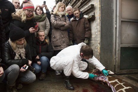 People look on as a veterinarian cuts apart the giraffe Marius after it was killed in Copenhagen Zoo February 9, 2014.