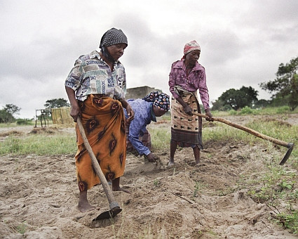 Mozambique field