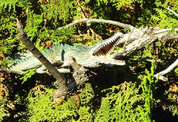An artist's model of a crocodile in a tree