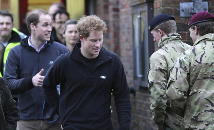 William and Harry in flood zone