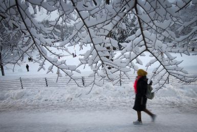 A woman walks through snow in Central Park in the Manhattan borough of New York