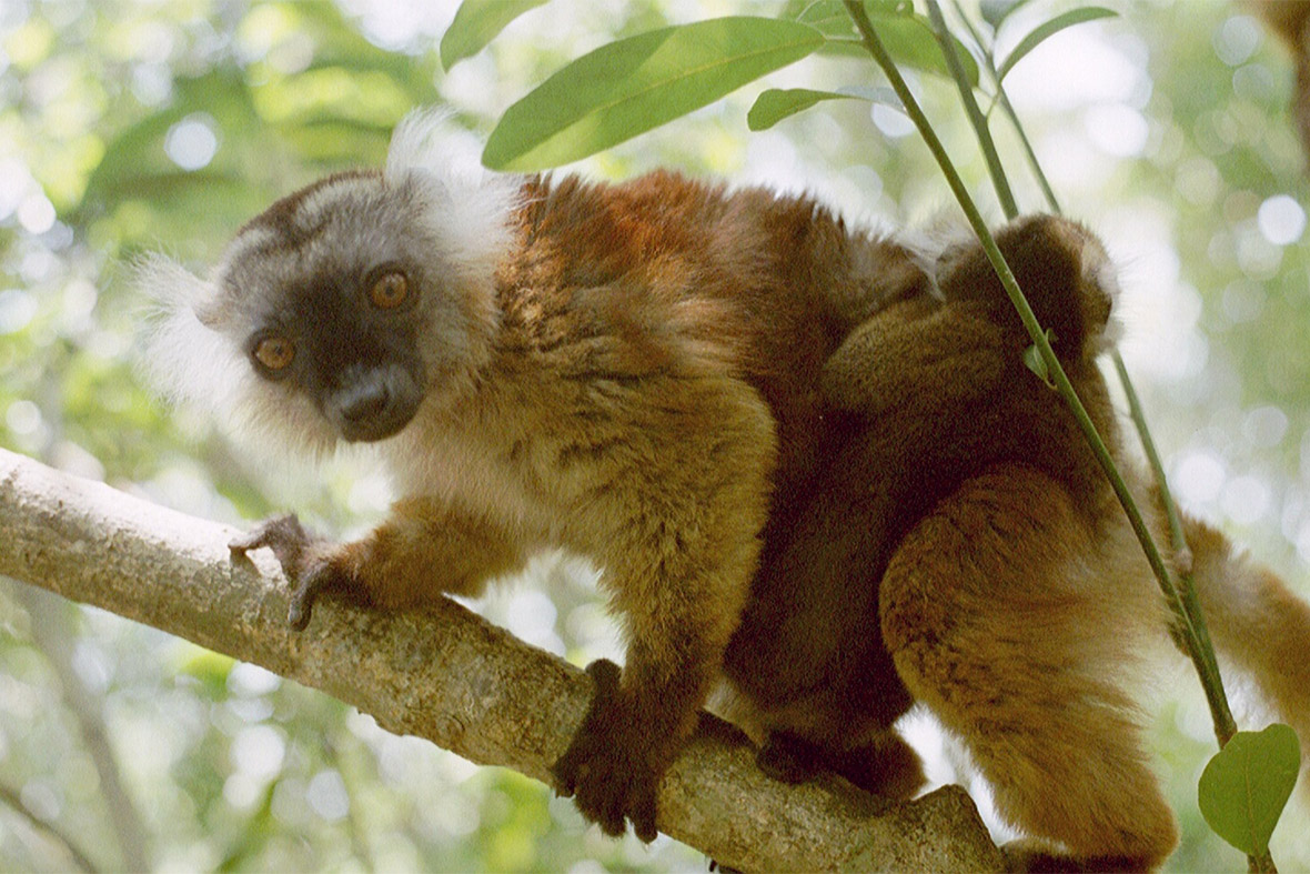 8. Nosy Be, Madagascar