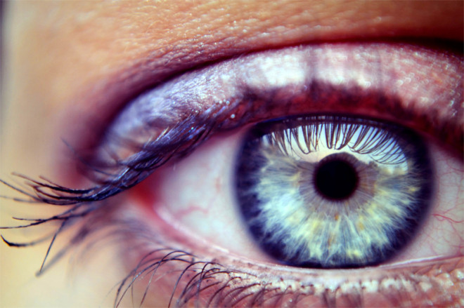 The new UltimEye iPad app can improve your vision by training your brain to process patterns better The new UltimEye iPad app can improve your vision by training your brain to process patterns better