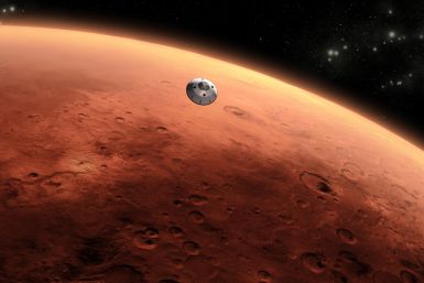 Mission to Mars not on the cards for Muslims after ruling by UAE Islamic panel