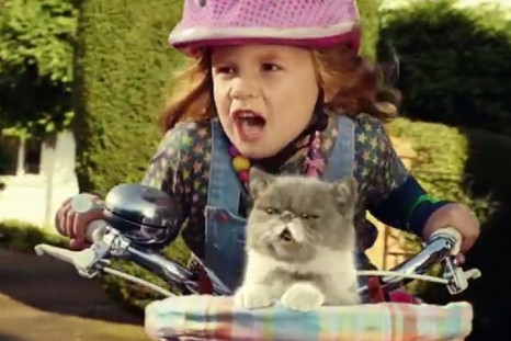 New Three TV ad starring child and singing cat airs today
