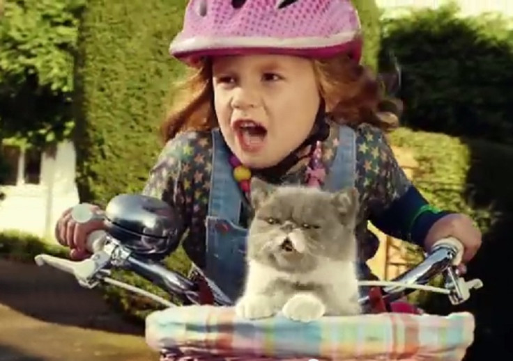 New Three TV ad starring child and singing cat airs today