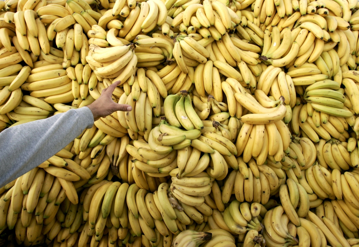 Dark markets ecuador