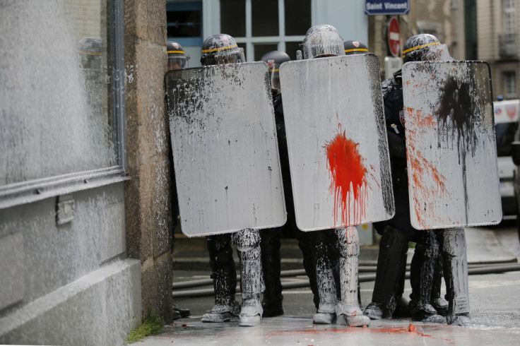 French riot police under attack from paint lobby by environmental activists