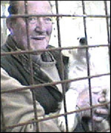 John Lowe Dog