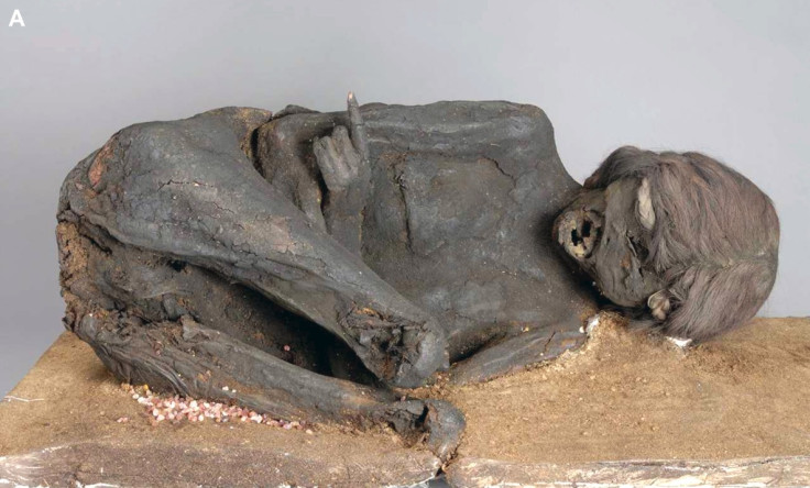 Incan mummy