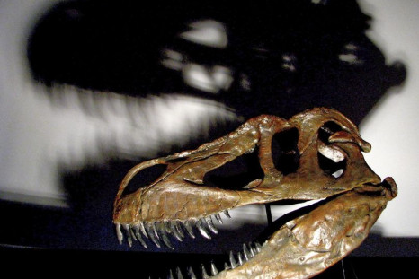 Torvosaurus dinosaur discovered