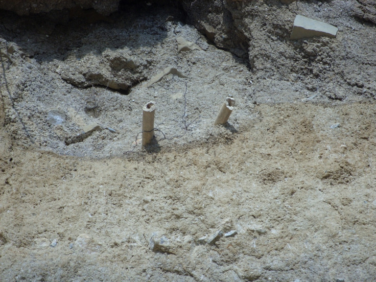 Bones belonging to a medieval monk were found protruding from a cliff in Monknash, near Bridgend in Wales