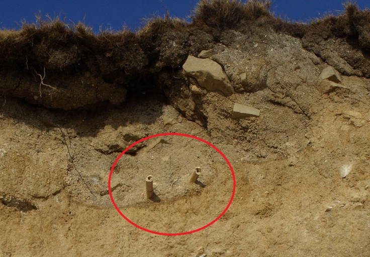 The monk's bones can be seen high up the cliff at Monknash, near to ground-level