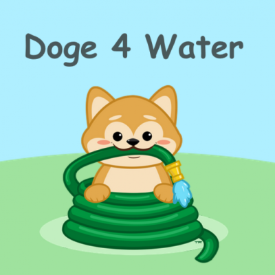 Doge4Water Campaign Raising 40 Million Dogecoin
