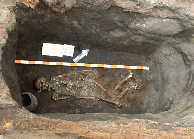 European skeleton