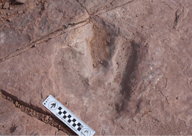 missing dinosaur footprint