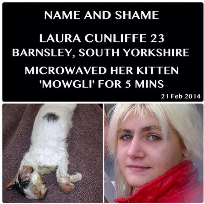 Laura Cunliffe Jailed After Microwaving Cat Laura Cunliffe Jailed After Microwaving Cat