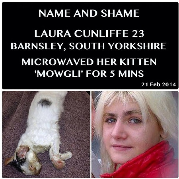 Laura Cunliffe Jailed After Microwaving Cat