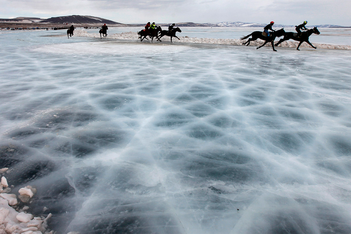 horses ice