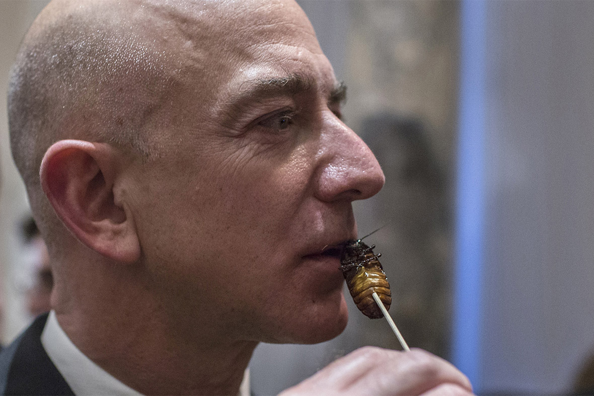 bezos cockroach