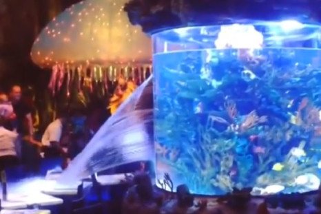 Fish tank explodes Disney World