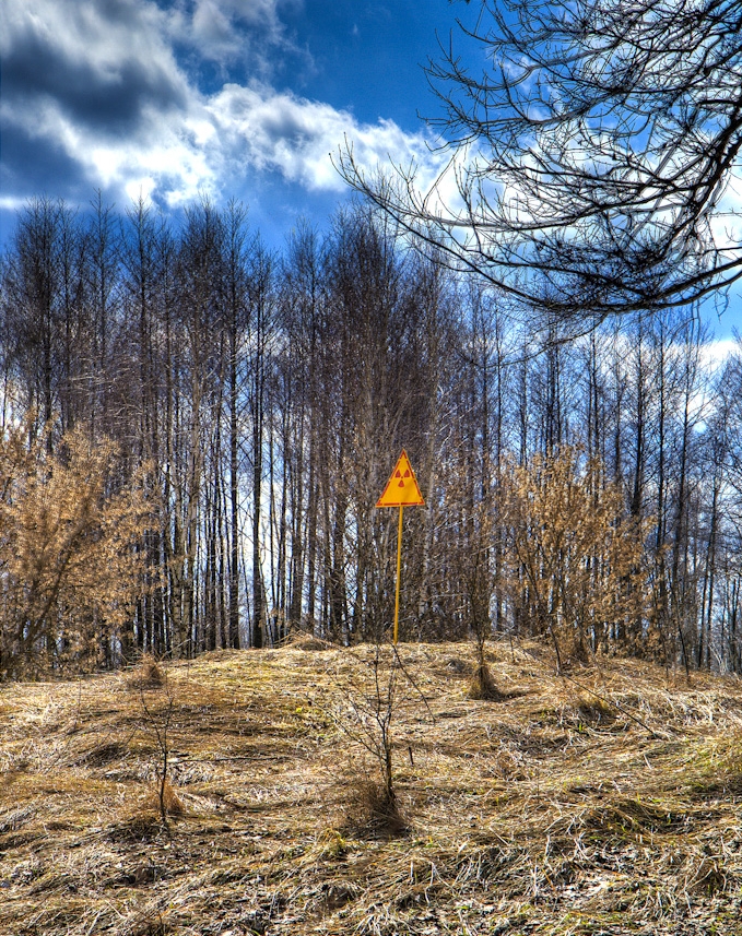 Chernobyl scientists warn radiation can be unleashed by climate change-induced wildfires